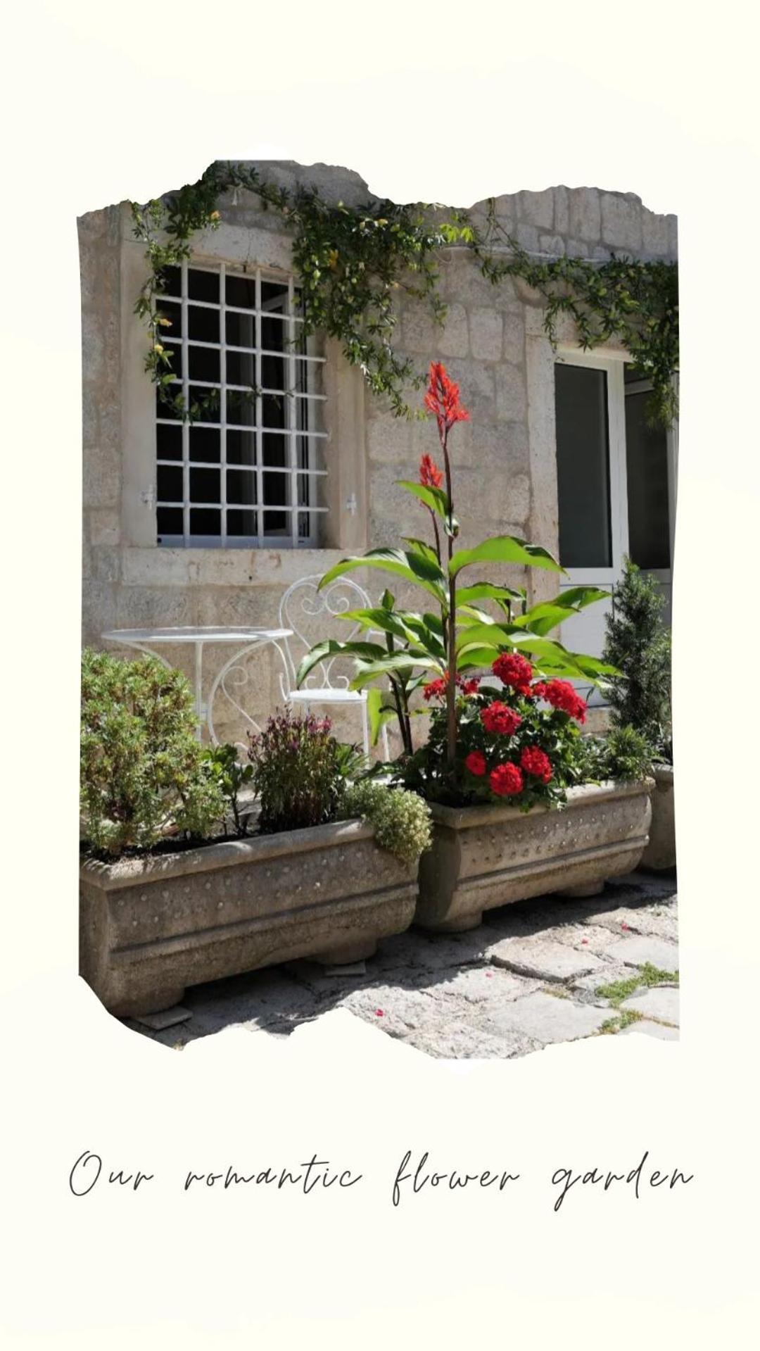 Apartments Visit Perast Luaran gambar