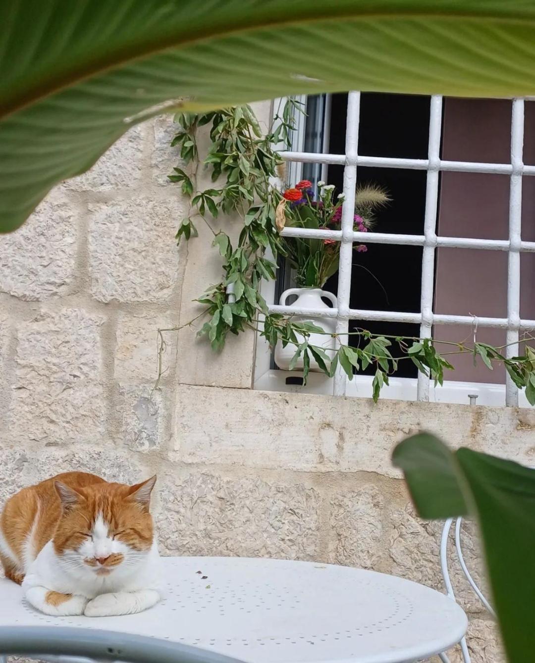 Apartments Visit Perast Luaran gambar